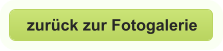 zurück zur Fotogalerie