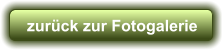 zurück zur Fotogalerie